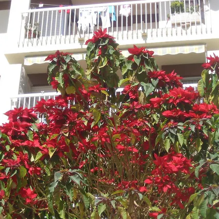 Carabeo 2000 3.1 Appartement Nerja