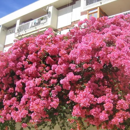 Appartement Carabeo 2000 3.1 Nerja