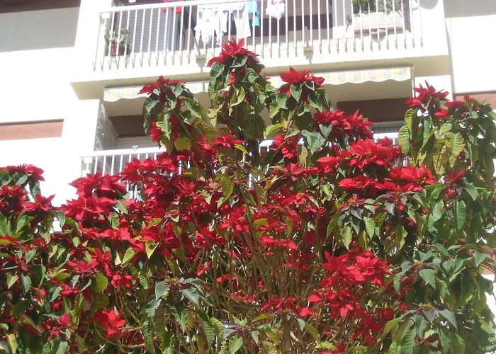 Carabeo 2000 3.1 Appartement Nerja