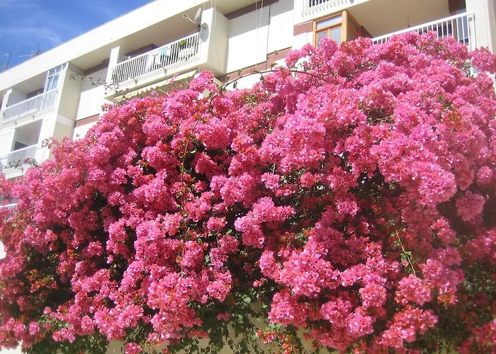 Appartement Carabeo 2000 3.1 Nerja